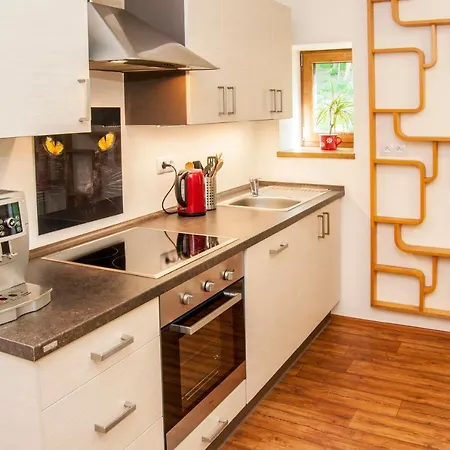Guest house Andel 3*